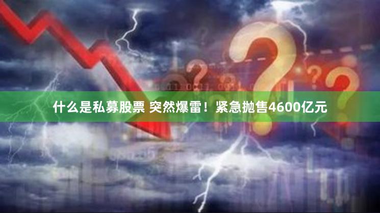 什么是私募股票 突然爆雷！紧急抛售4600亿元